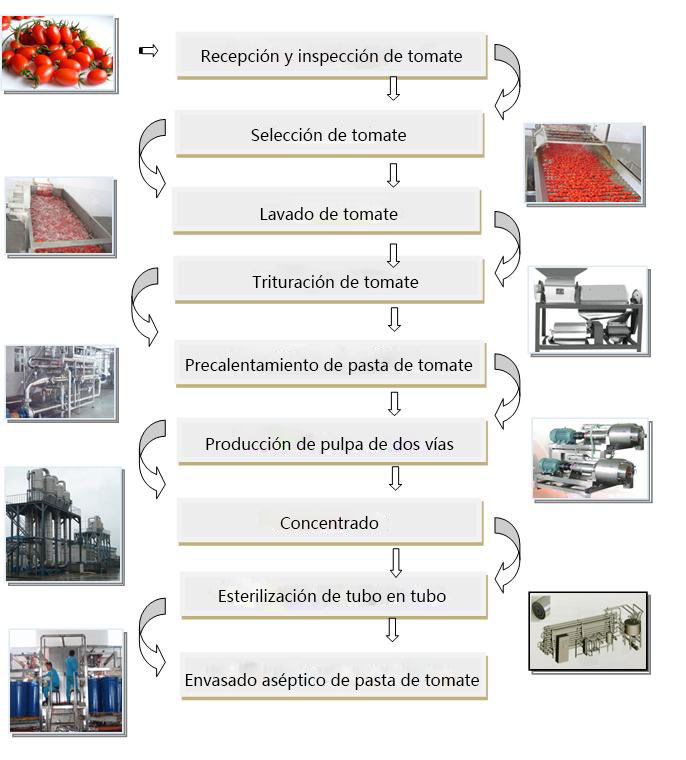 Líneas de procesamiento de pasta de tomate