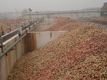 Línea de procesamiento de jugo concentrado de manzana