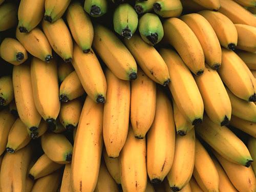 Líneas de producción de plátano en polvo