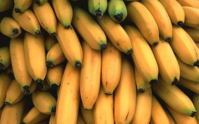 Líneas de producción de plátano en polvo